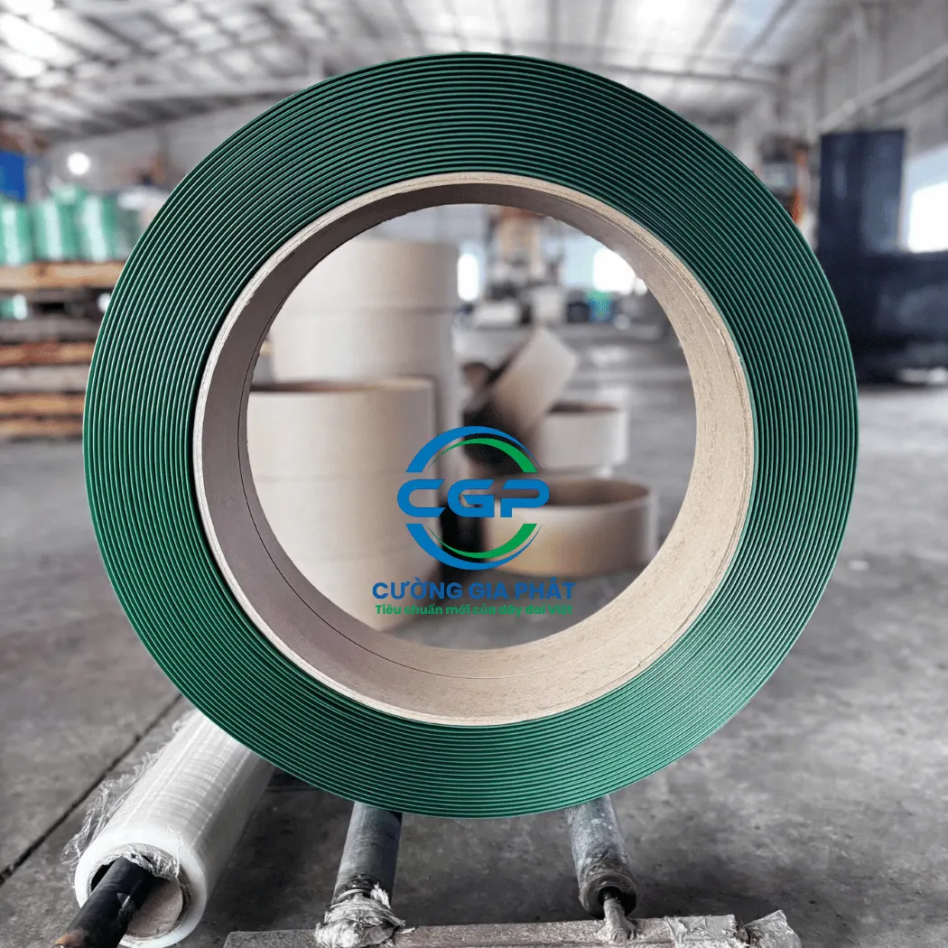 day-dai-nhua-pet-xanh-dam (1)