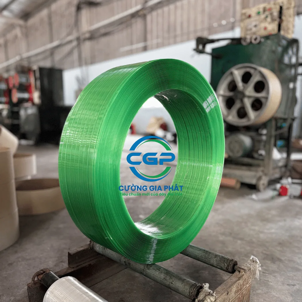 day-dai-nhua-pet-xanh-nhat (1)