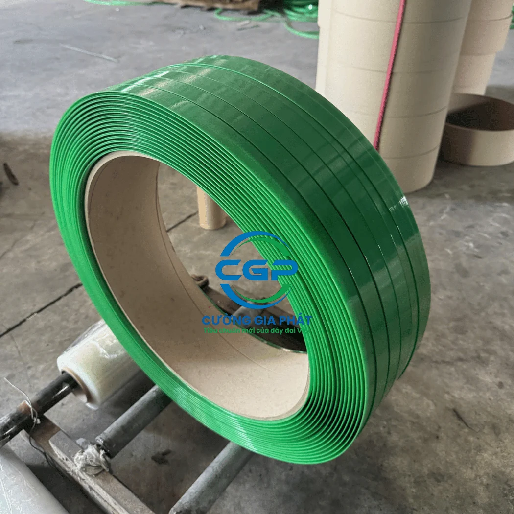 day-dai-nhua-pet-xanh-nhat (4)