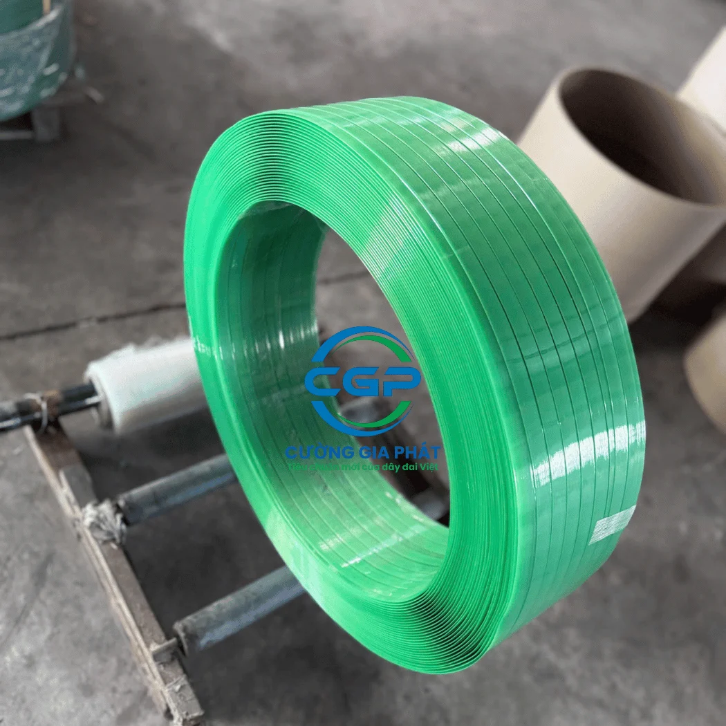 day-dai-nhua-pet-xanh-nhat (5)