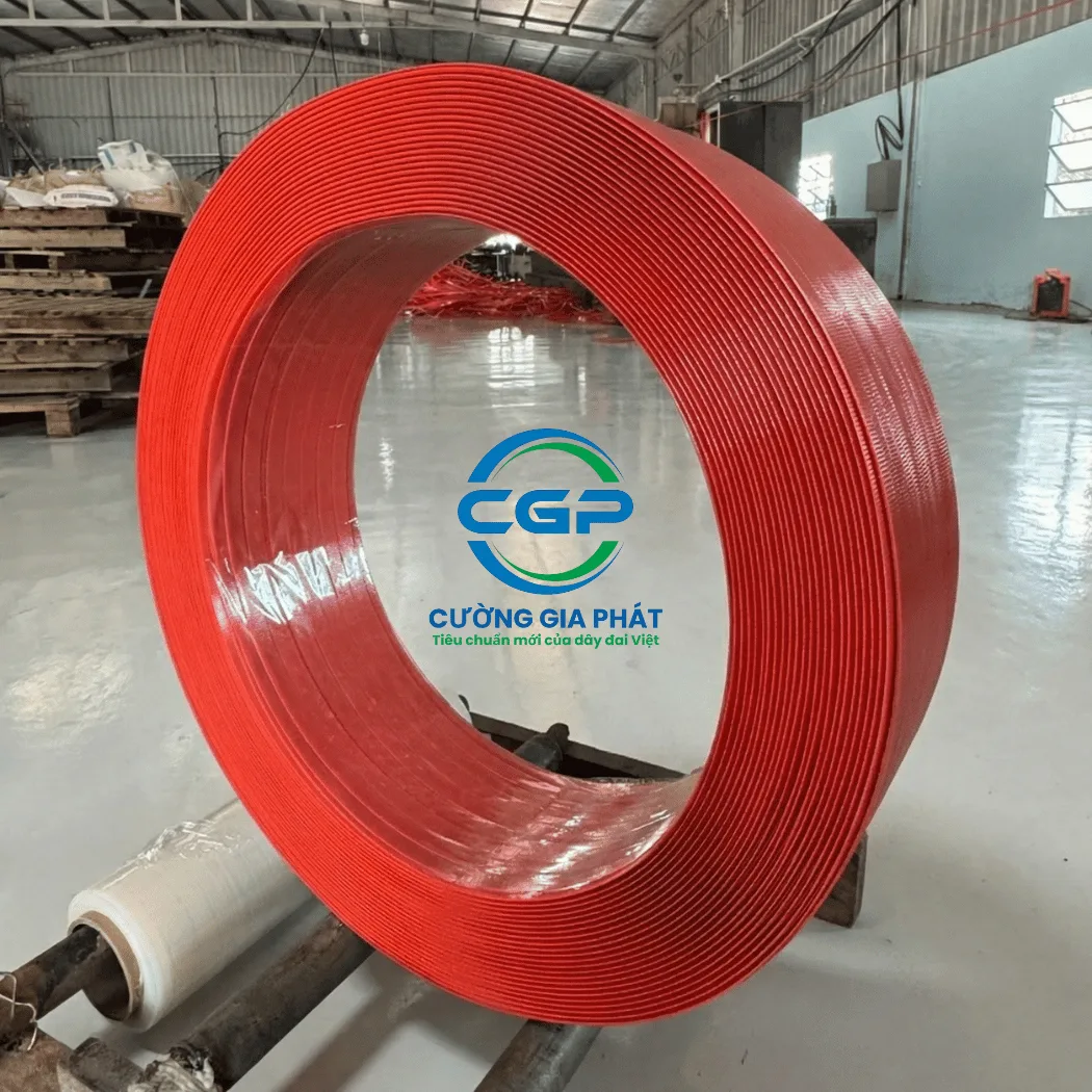 day-dai-pet-nhua (1)