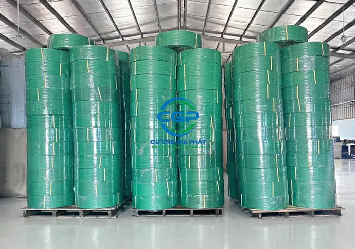 day-dai-nhua-pet-xanh-nhat (12)